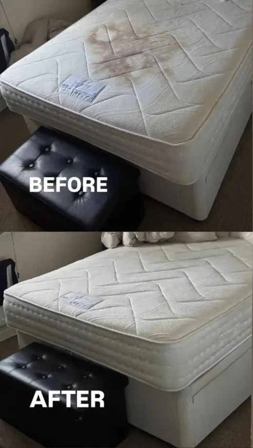 Carpetix cleaning job - mattress hygiene clean